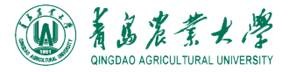 QINGDAONONGYE