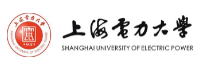 SHANGHAIDIANLI